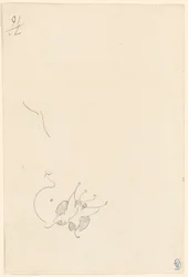 Mariposa