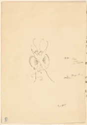 Mariposa