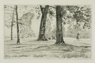 Parque de Greenwich