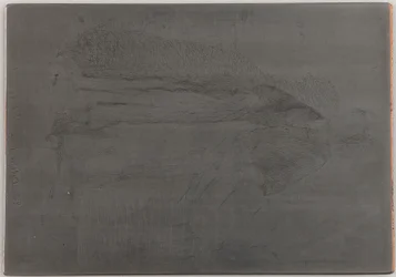 La Mere Gerard. Uno de los <em>Doce grabados de la naturaleza</em>