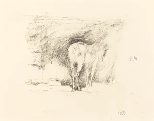 Estudio de un caballo