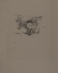 Estudio de un Caballo