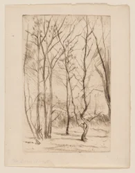 El bosque de la presa