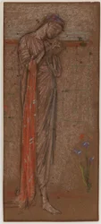 El iris púrpura