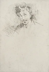 Whistler con el mechón blanco