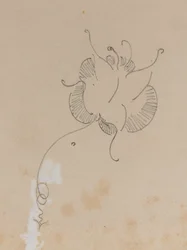 La Mariposa de Whistler
