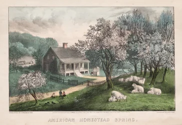 Granja americana, primavera