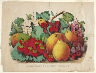 Fruta de verano americana