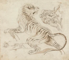 Estudio para un tigre y monos