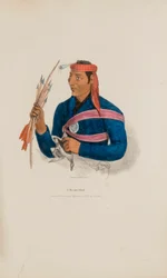 Un jefe de Miami, de The Aboriginal Portfolio