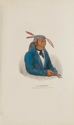 Un joven jefe de Miami, de The Aboriginal Portfolio