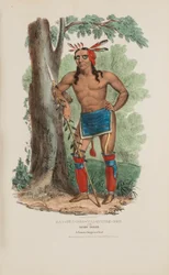 KAA-NUN-DER-WAAGUINSE-ZOO o el Recolector de Bayas; Un Famoso Jefe Chippewa, de The Aboriginal Portfolio