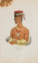 WAA-BIN-DE-BA o el Águila de Cabeza Blanca; Un Jefe Chippeway, de The Aboriginal Portfolio