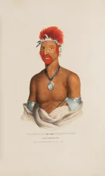 WAA-PA-LAA o el Zorro Jugador; Príncipe de la Tribu de los Zorros, de The Aboriginal Portfolio