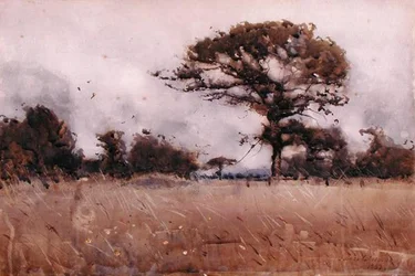 Viento