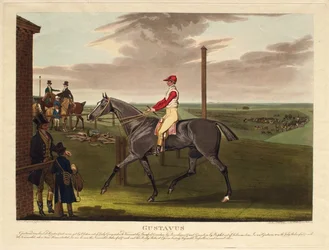 «Gustavus»