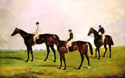 Caballos de carrera con jinetes