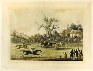 Gran carrera de obstáculos de Saint Albans