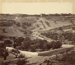 Jardín de Getsemaní y Ascenso a la Puerta de Esteban, a Través del Valle de Josafat