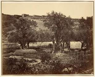 El Huerto de Getsemaní