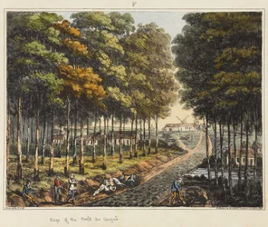 Borde del Bosque de Soignes, de 