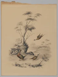 Tres faisanes, 1873