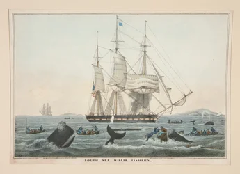 Pesquería de Ballenas del Mar del Sur