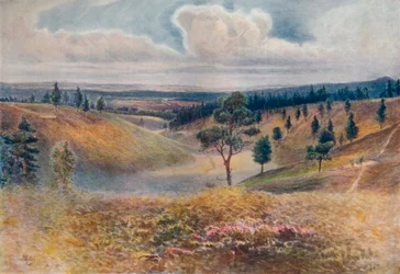 Vista desde Beacon Hill, Hindhead, 1911, 1914