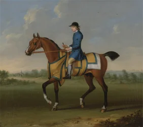 Un caballo de carreras bayo con jinete