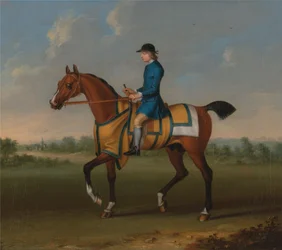 Un caballo de carreras de la bahía con jockey arriba