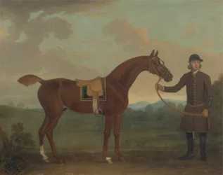 Viejo zorro sostenido por un mozo de cuadra