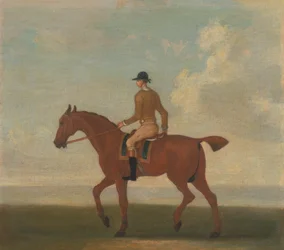 Uno de los cuatro retratos de caballos - un caballo de carreras castaño con jinete arriba: caminando hacia la izquierda; jinete con chaqueta amarillo ante