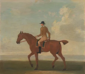 Uno de los cuatro retratos de caballos - un caballo de carreras castaño con jinete arriba: caminando hacia la izquierda; jinete con chaqueta amarillo ante