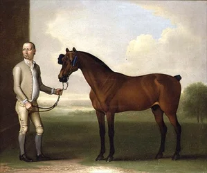 "Regulus", un caballo de carreras oscuro con un mozo de cuadra