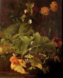 Hojas de muelle y otras flores