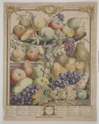 Noviembre de 1732