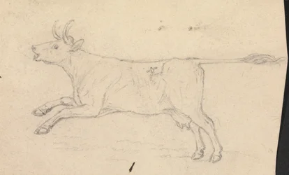 Una vaca