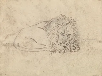 Un León