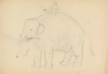 Elefante con jinete