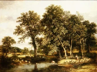 Baño de ovejas
