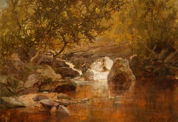 Un estanque de salmones (óleo sobre lienzo)