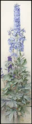 Delphiniums, c.1920