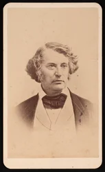 Retrato de Charles Sumner 1811-1874, Antes de 1874