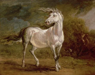 Un caballo gris en un paisaje