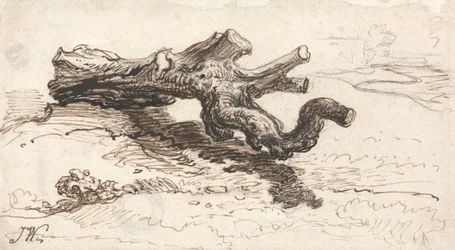 Un tronco de árbol en el suelo