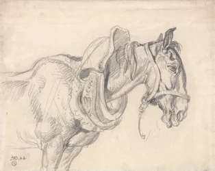 Cabeza y hombros de un caballo de tiro