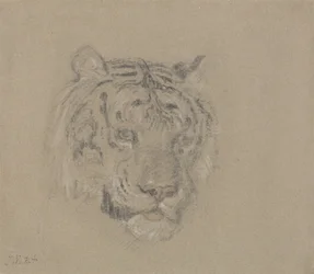 Cabeza de tigre