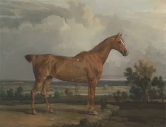 Cazador en un paisaje