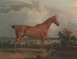 Cazador en un paisaje