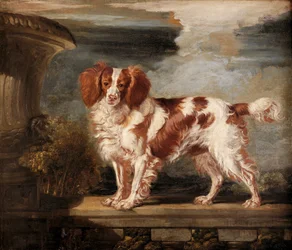 Retrato de Dash, un spaniel favorito, propiedad de Lady Frances Vane-Tempest